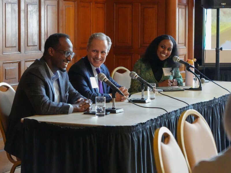 Read Strengthening Democracy: Community Voices and Civic Engagement in Minnesota